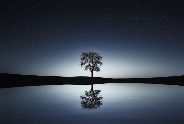 Arbre solitaire reflété dans un lac sous un ciel étoilé symbolisant un sommeil paisible et réparateur