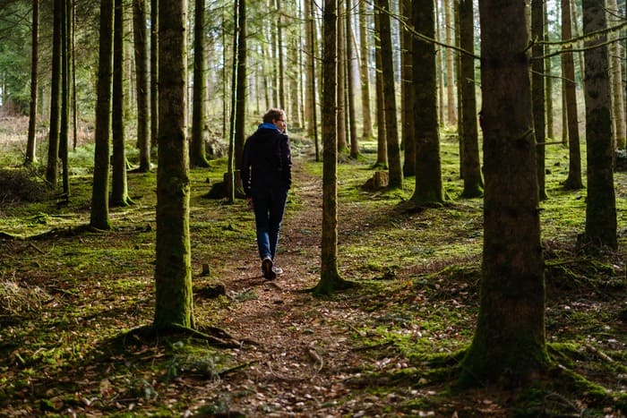 Personne marchant en forêt pour retrouver un équilibre après l'arrêt du tabac